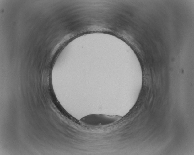 X0000062640015200601181756