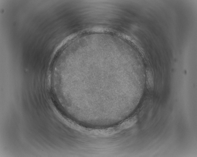 X0000062640016200601181756