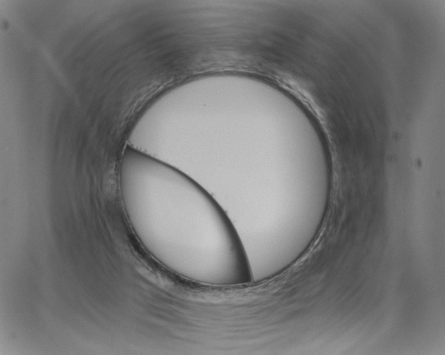 X0000062640017200601181756