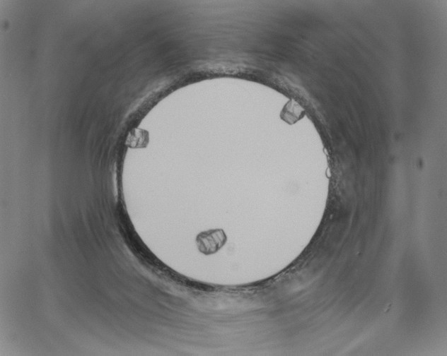 X0000062640020200601181756