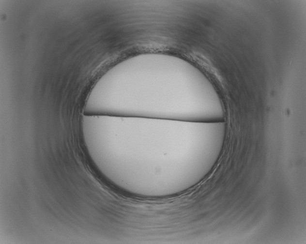 X0000062640021200601181756