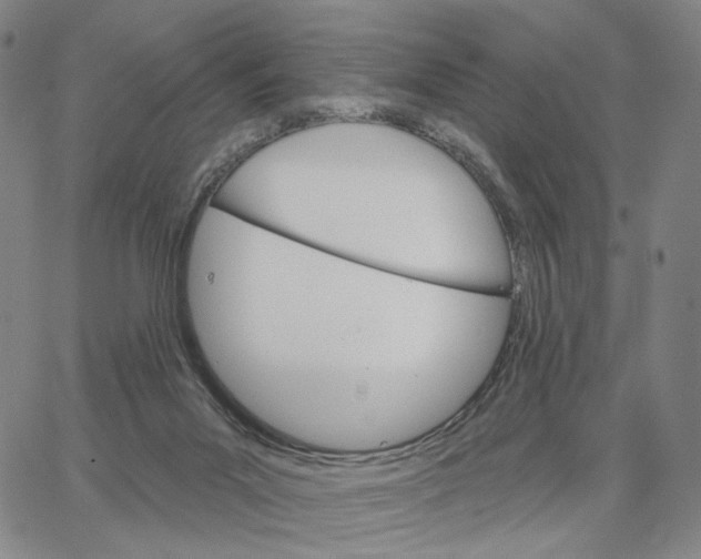 X0000062640023200601181756