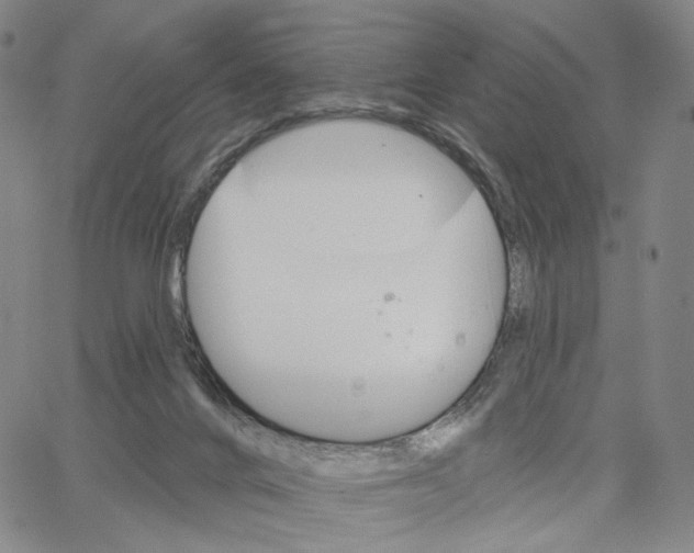 X0000062640024200601181756