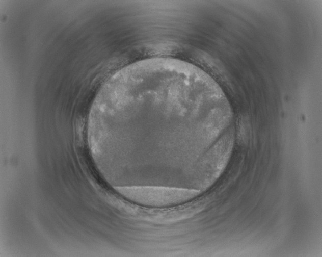 X0000062640026200601181756