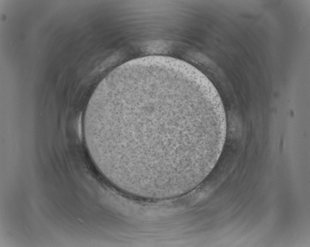 X0000062640028200601181756