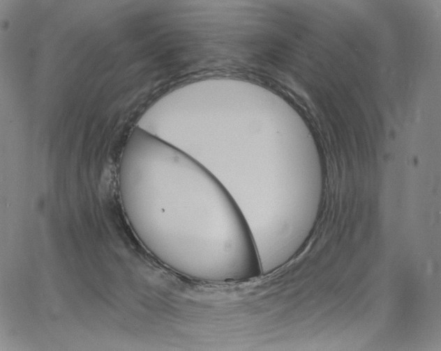 X0000062640029200601181756