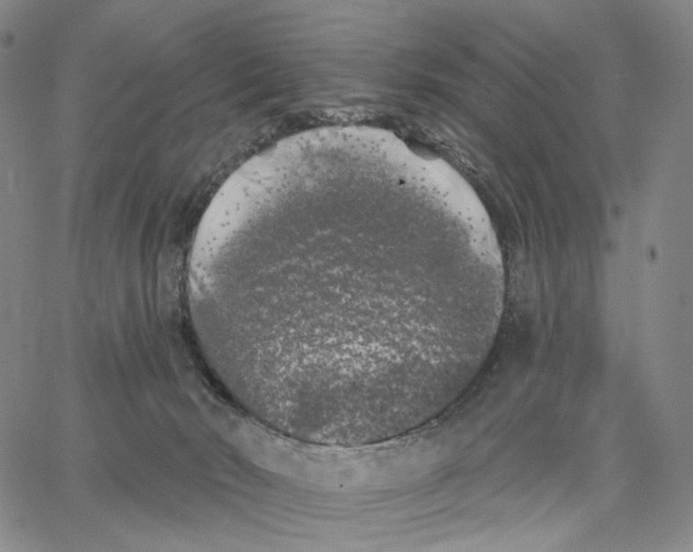 X0000062640030200601181756