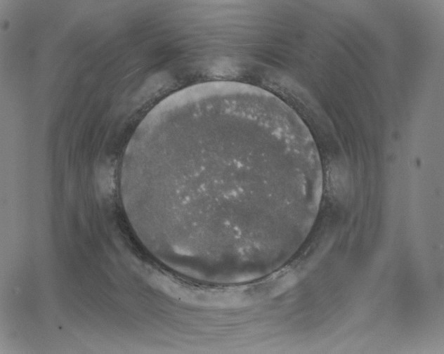 X0000062640032200601181756