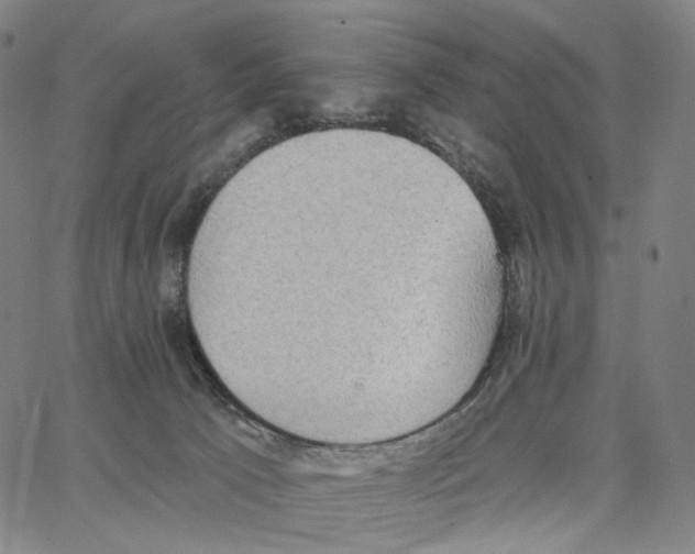 X0000062640033200601181756