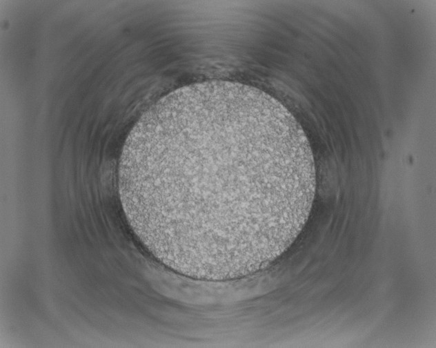 X0000062640034200601181756