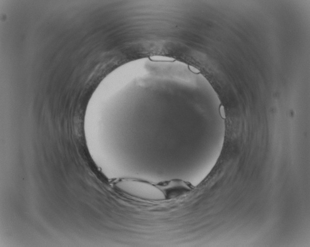 X0000062640035200601181756