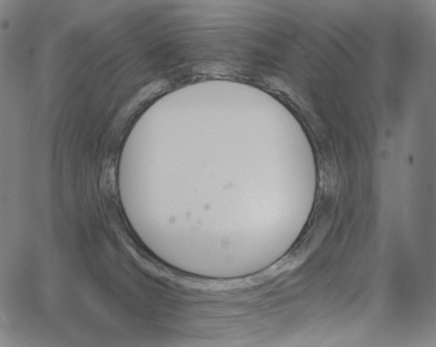 X0000062640036200601181756