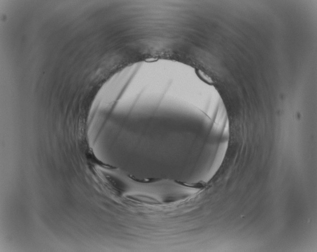 X0000062640039200601181756