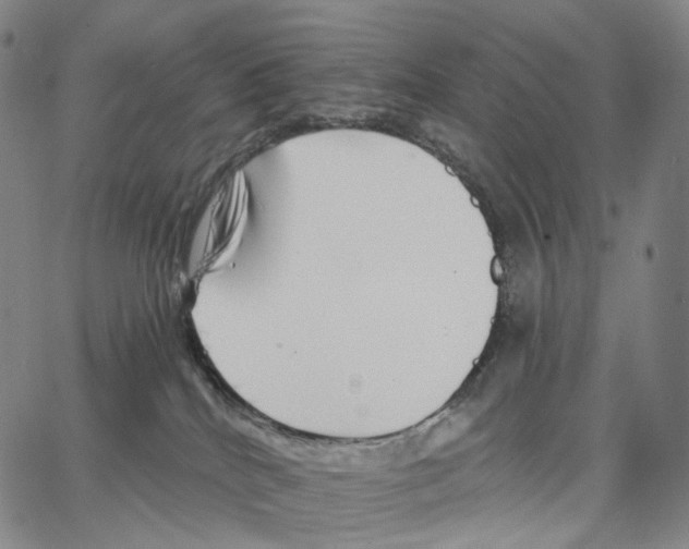 X0000062640040200601181756