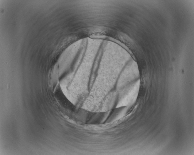 X0000062640041200601181756