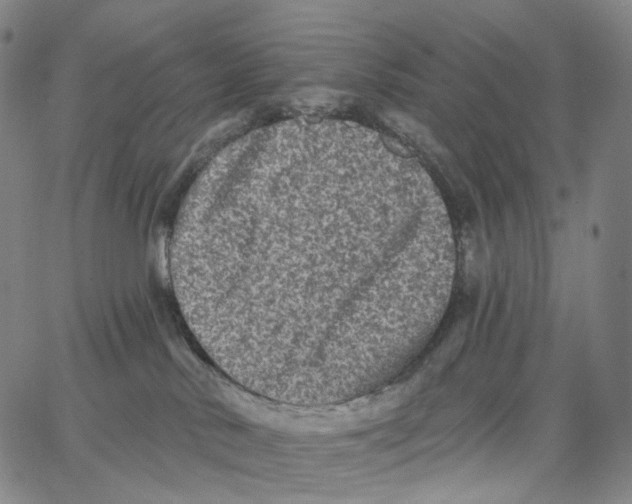 X0000062640042200601181756