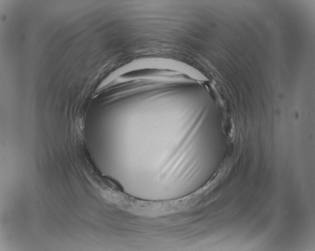 X0000062640045200601181756