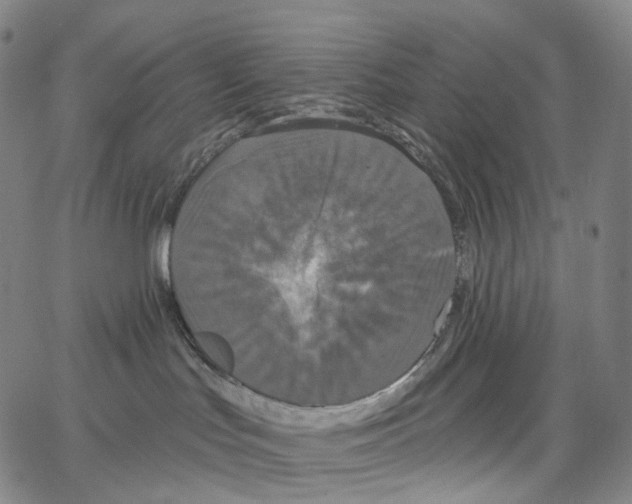 X0000062640047200601181756