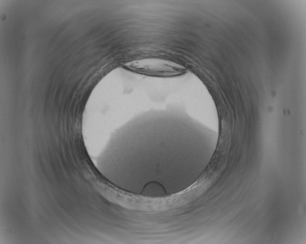 X0000062640048200601181756