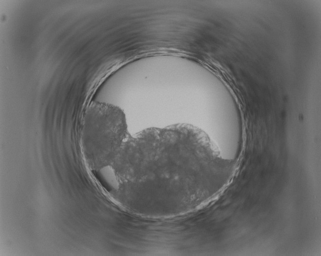 X0000062640049200601181755