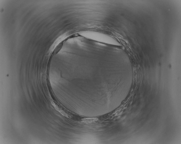 X0000062640051200601181755