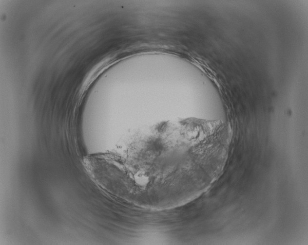 X0000062640053200601181755