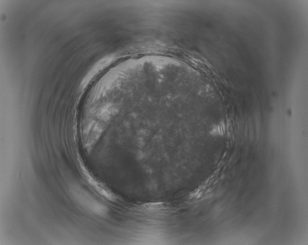 X0000062640054200601181755