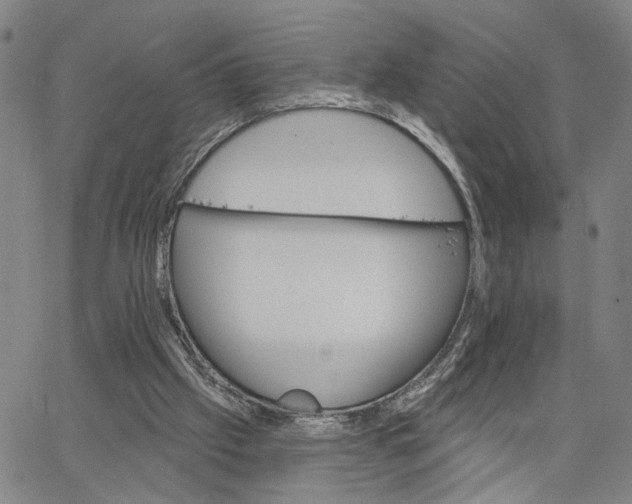 X0000062640057200601181755