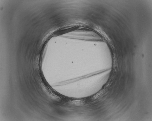 X0000062640058200601181755