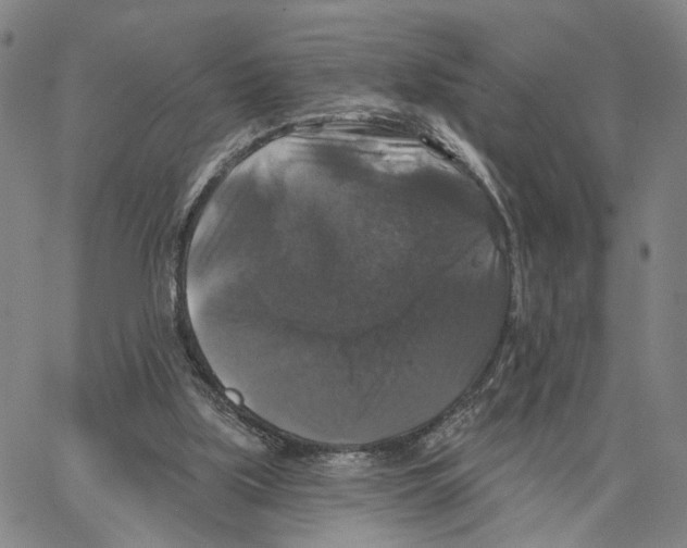 X0000062640059200601181755