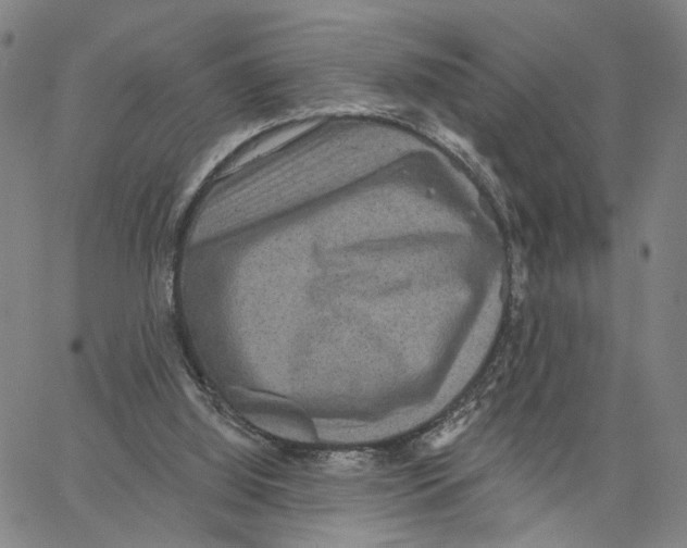 X0000062640060200601181755