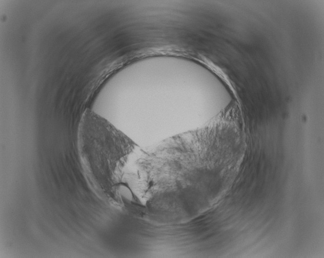 X0000062640061200601181755