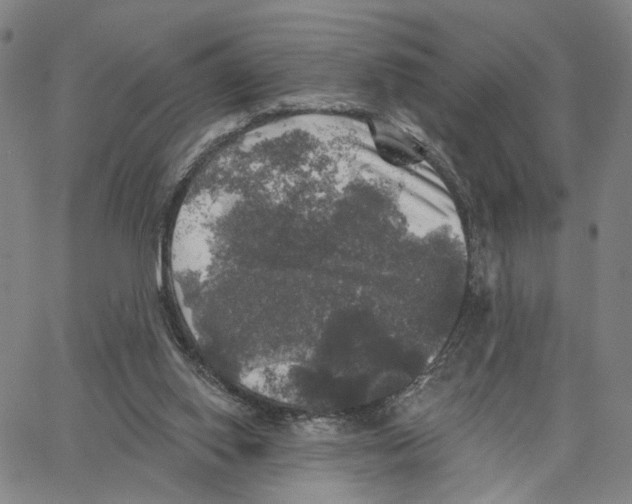 X0000062640062200601181755