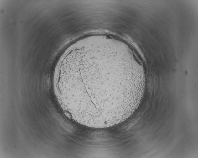 X0000062640063200601181755