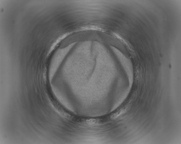 X0000062640064200601181755
