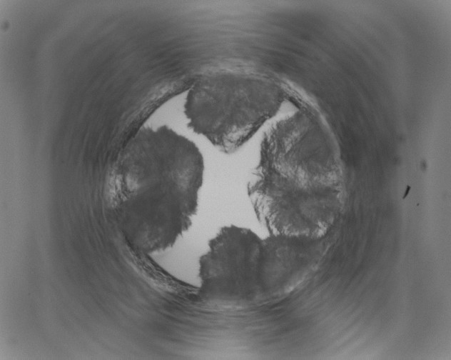 X0000062640065200601181755