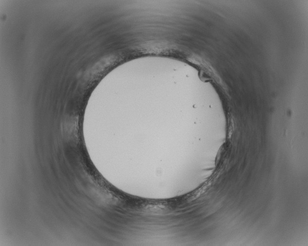 X0000062640066200601181755