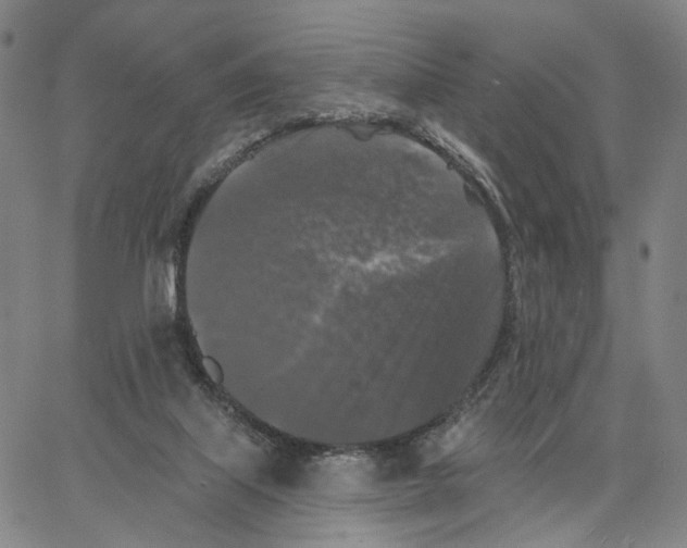 X0000062640067200601181755