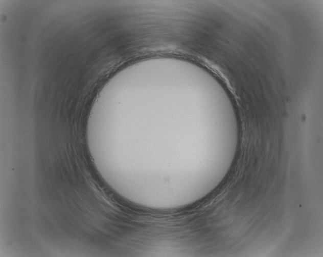 X0000062640069200601181755