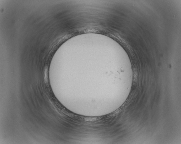 X0000062640070200601181755