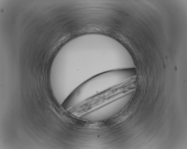 X0000062640072200601181755