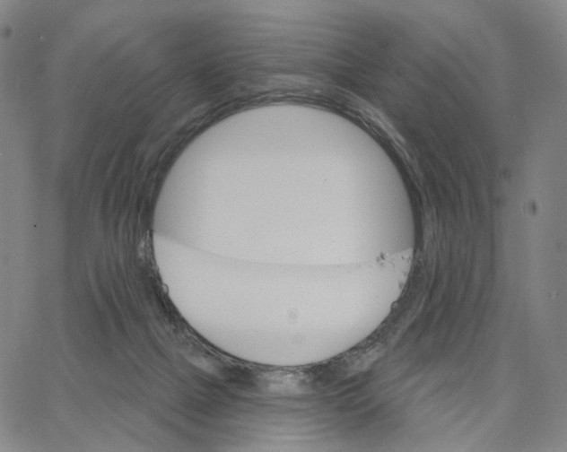 X0000062640073200601181755