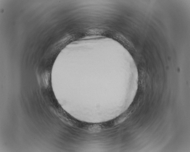 X0000062640075200601181755