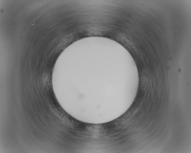 X0000062640079200601181755