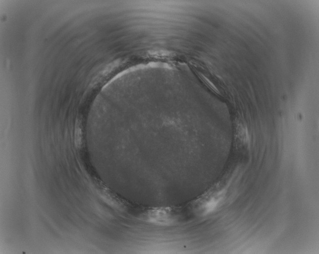 X0000062640080200601181755