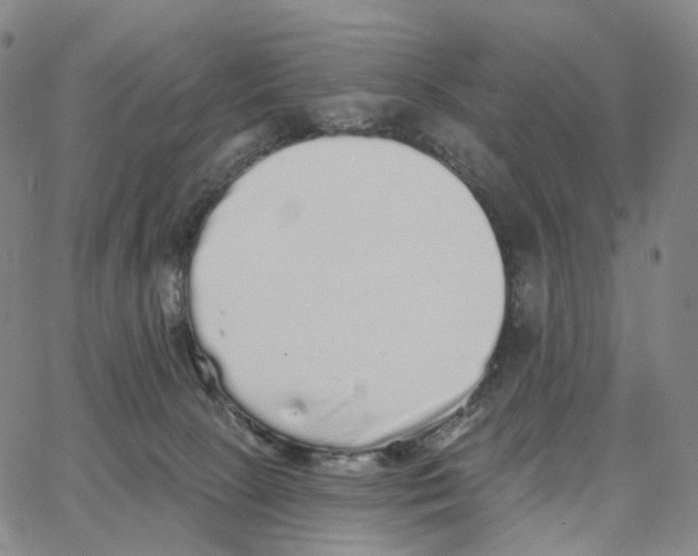 X0000062640081200601181755