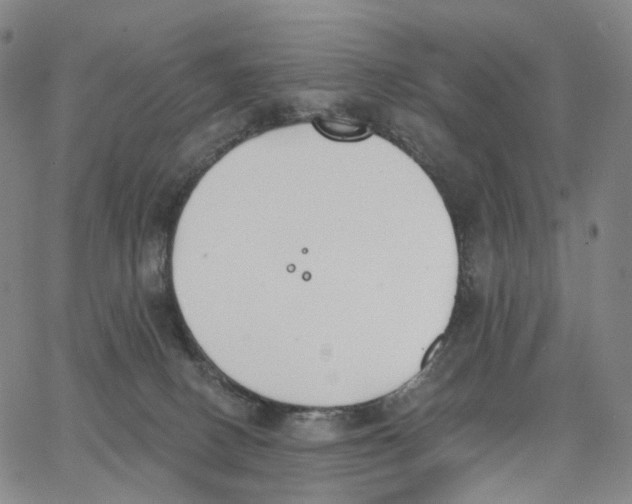 X0000062640082200601181755