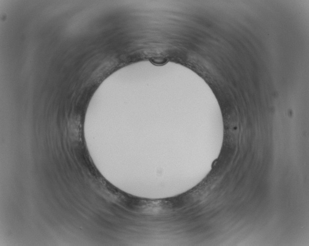 X0000062640083200601181755