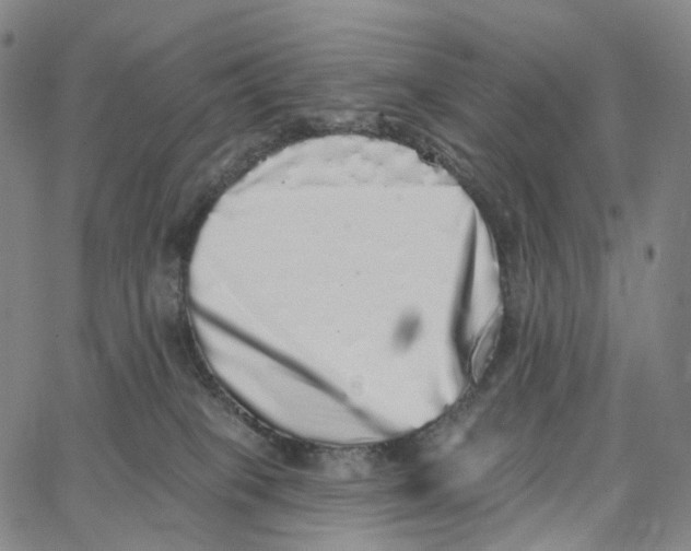 X0000062640085200601181755