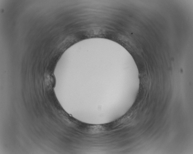 X0000062640087200601181755